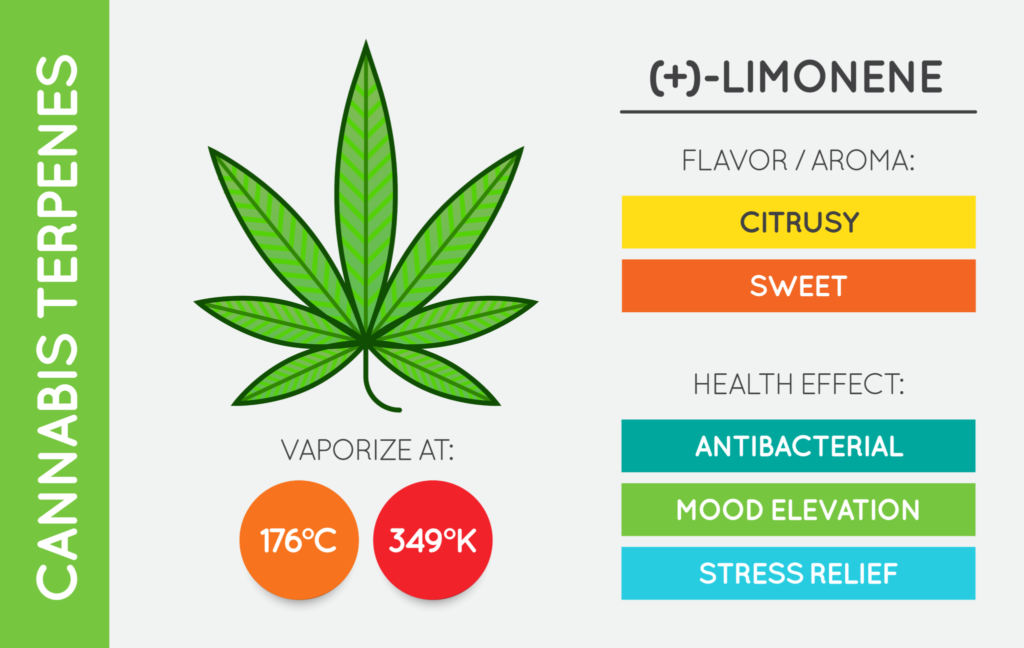Cannabis Terpene Limonene