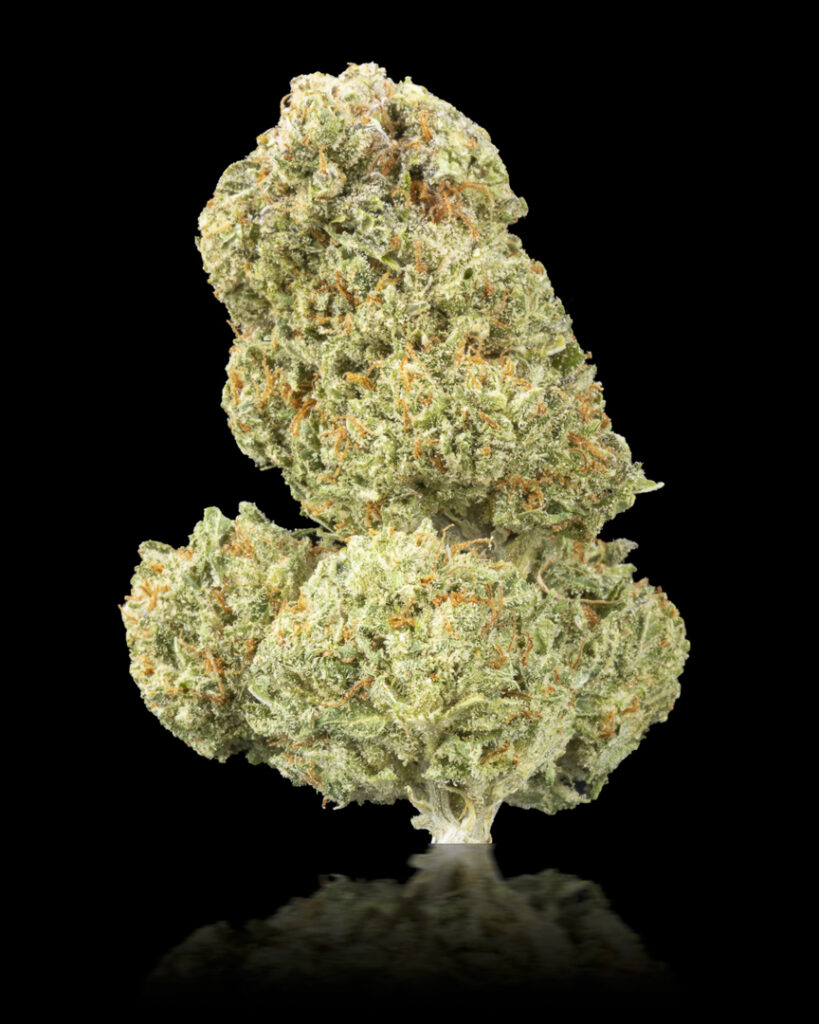 Sugar Lemon by Kismet Farm, Flower: Sativa Second Place Winner in the Homegrow Track of the Fourth Annual Headies Cup, May 2023.